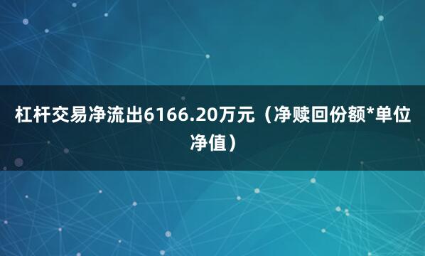 杠杆交易净流出6166.20万元（净赎回份额*单位净值）