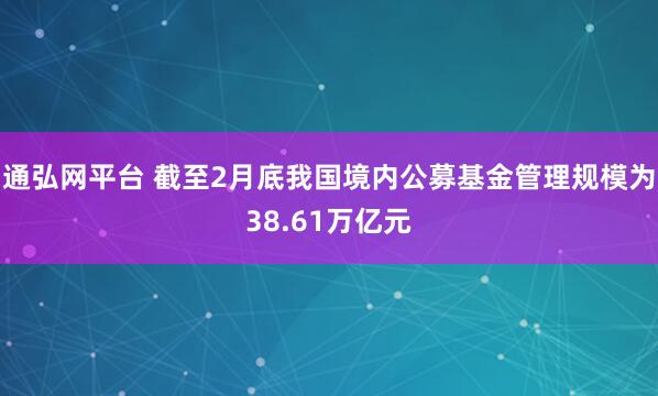通弘网平台 截至2月底我国境内公募基金管理规模为38.61万亿元