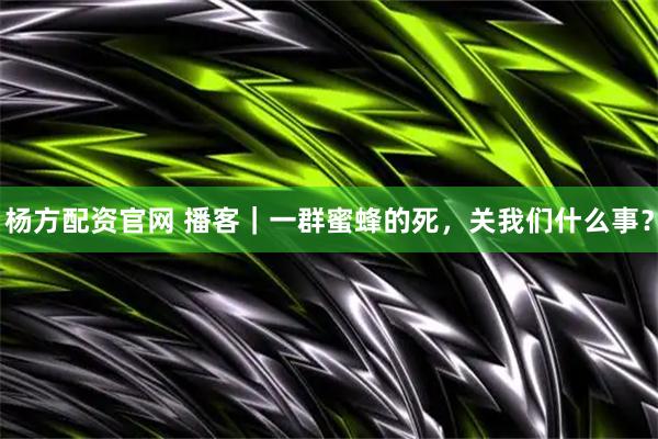 杨方配资官网 播客｜一群蜜蜂的死，关我们什么事？